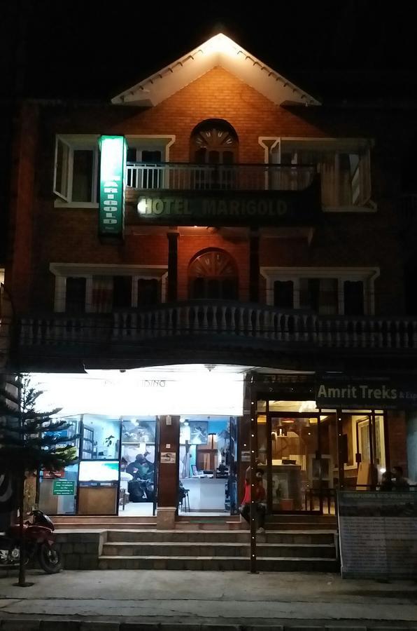 Hotel Marigold Pokhara Eksteriør bilde